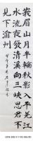 鷨